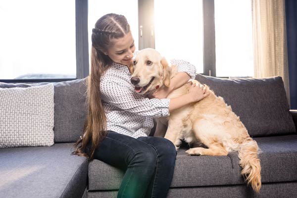 Should Sober Living Homes Allow Pets?